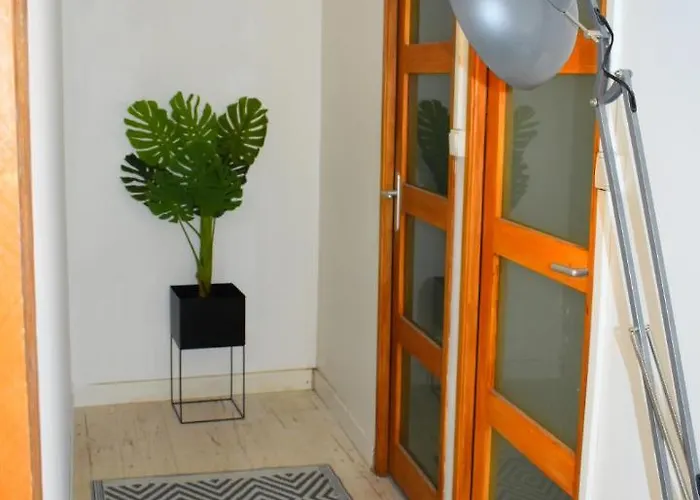 Apartamento Cozy Proche Du Centre-ville